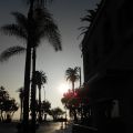 am Santa Monica Pier